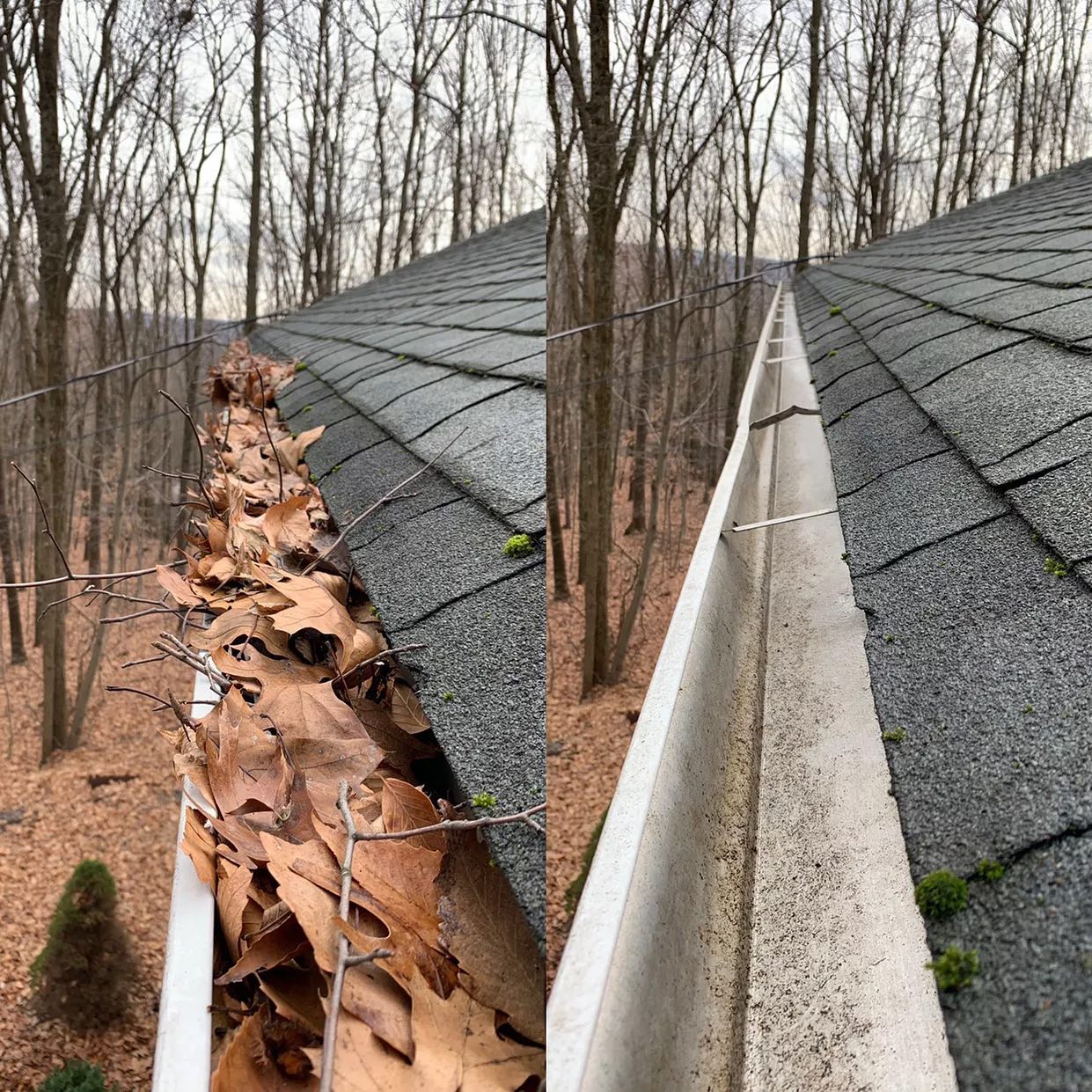 Premier Gutter Cleaning Job in Cartersville, GA